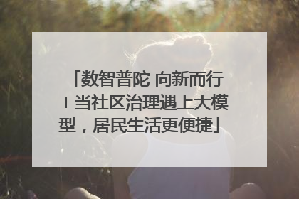 数智普陀 向新而行〡当社区治理遇上大模型，居民生活更便捷