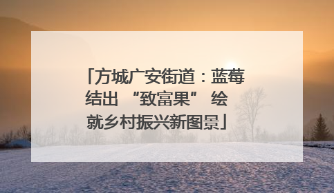 方城广安街道：蓝莓结出 “致富果” 绘就乡村振兴新图景