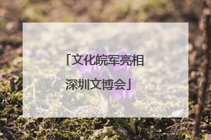 文化皖军亮相深圳文博会