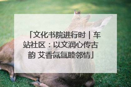 文化书院进行时｜车站社区：以文润心传古韵 艾香氤氲睦邻情