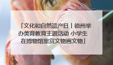 文化和自然遗产日丨德州举办美育教育主题活动 小学生在博物馆里赏文物画文物