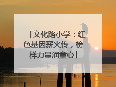 文化路小学：红色基因薪火传，榜样力量润童心