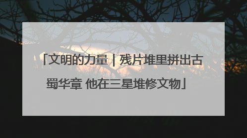 文明的力量｜残片堆里拼出古蜀华章 他在三星堆修文物