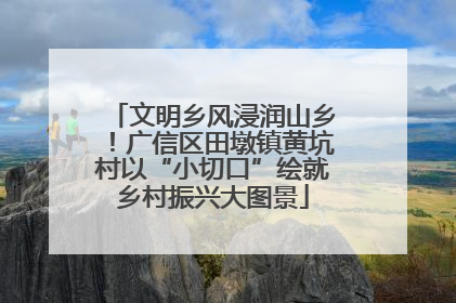 文明乡风浸润山乡！广信区田墩镇黄坑村以“小切口”绘就乡村振兴大图景