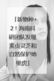 新物种+2！海南科研团队发现素贞灵芝和自然保护地壁虎