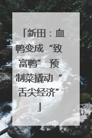 新田：血鸭变成“致富鸭” 预制菜撬动“舌尖经济”