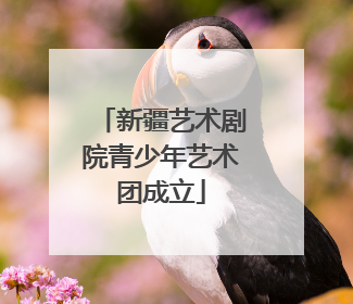 新疆艺术剧院青少年艺术团成立