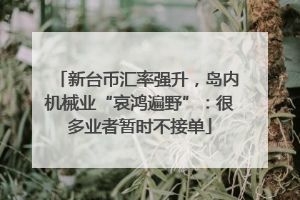 新台币汇率强升，岛内机械业“哀鸿遍野”：很多业者暂时不接单