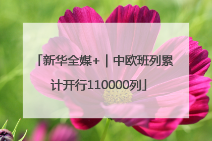 新华全媒+｜中欧班列累计开行110000列