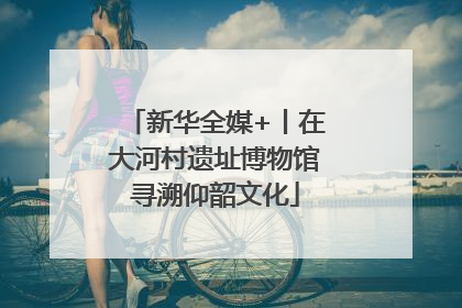 新华全媒+丨在大河村遗址博物馆寻溯仰韶文化