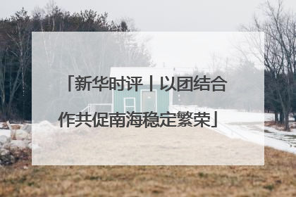 新华时评丨以团结合作共促南海稳定繁荣