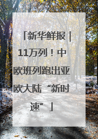 新华鲜报｜11万列！中欧班列跑出亚欧大陆“新时速”