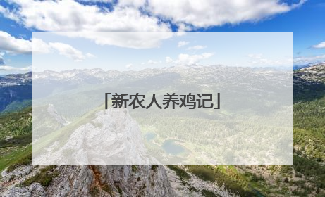 新农人养鸡记