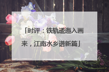 时评：铁轨逶迤入画来，江南水乡谱新篇