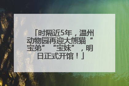 时隔近5年，温州动物园再迎大熊猫“宝弟”“宝妹”，明日正式开馆！