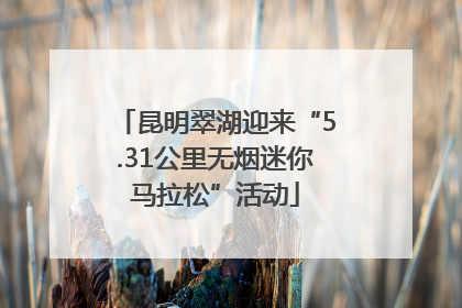 昆明翠湖迎来“5.31公里无烟迷你马拉松”活动