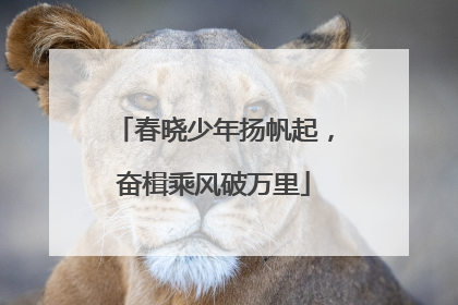 春晓少年扬帆起，奋楫乘风破万里