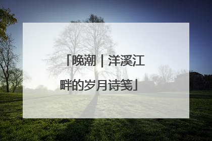 晚潮｜洋溪江畔的岁月诗笺
