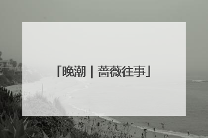 晚潮｜蔷薇往事
