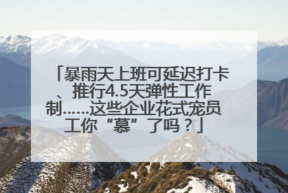 暴雨天上班可延迟打卡、推行4.5天弹性工作制……这些企业花式宠员工你“慕”了吗？