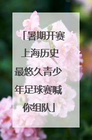 暑期开赛 上海历史最悠久青少年足球赛喊你组队