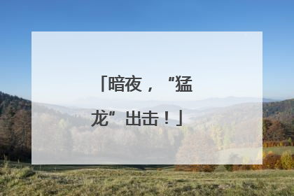 暗夜，“猛龙”出击！