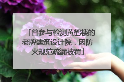 曾参与检测黄鹤楼的老牌建筑设计院，因防火规范疏漏被罚