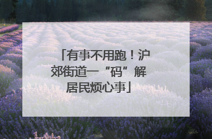 有事不用跑！沪郊街道一“码”解居民烦心事