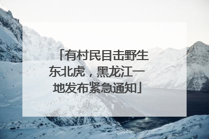有村民目击野生东北虎，黑龙江一地发布紧急通知
