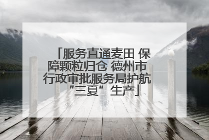 服务直通麦田 保障颗粒归仓 德州市行政审批服务局护航“三夏”生产