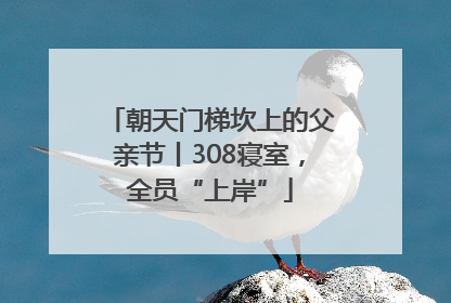 朝天门梯坎上的父亲节丨308寝室，全员“上岸”
