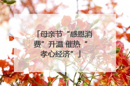 母亲节“感恩消费”升温 催热“孝心经济”