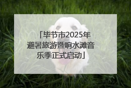 毕节市2025年避暑旅游暨响水滩音乐季正式启动