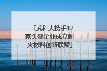 武科大携手12家头部企业成立耐火材料创新联盟
