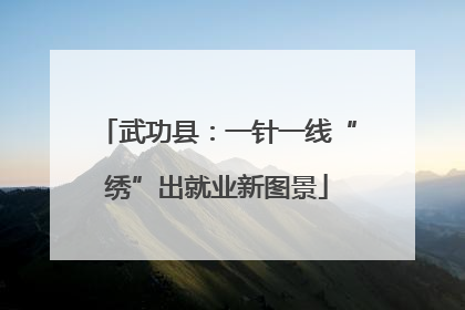 武功县：一针一线“绣”出就业新图景