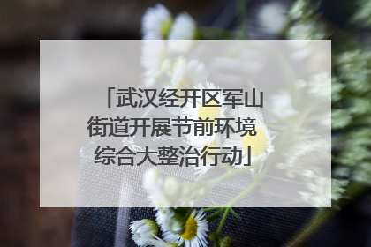 武汉经开区军山街道开展节前环境综合大整治行动