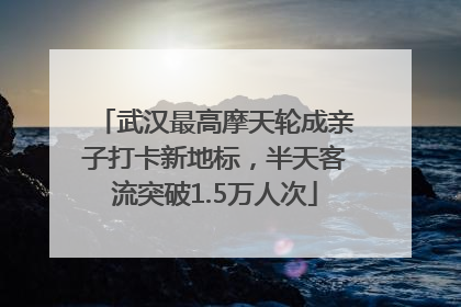 武汉最高摩天轮成亲子打卡新地标，半天客流突破1.5万人次