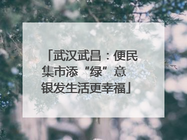 武汉武昌：便民集市添“绿”意 银发生活更幸福