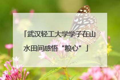 武汉轻工大学学子在山水田间感悟“粮心”