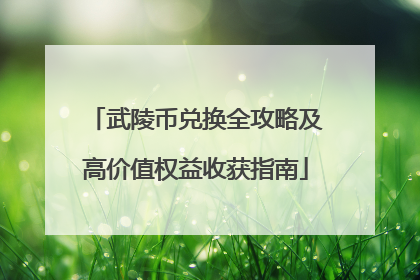 武陵币兑换全攻略及高价值权益收获指南