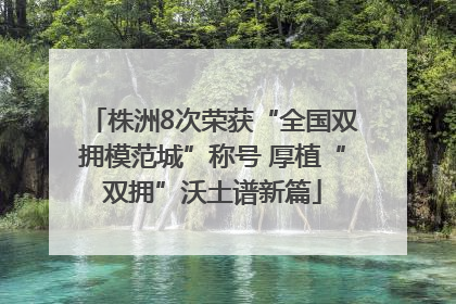 株洲8次荣获“全国双拥模范城”称号 厚植“双拥”沃土谱新篇