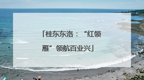 桂东东洛：“红领雁”领航百业兴