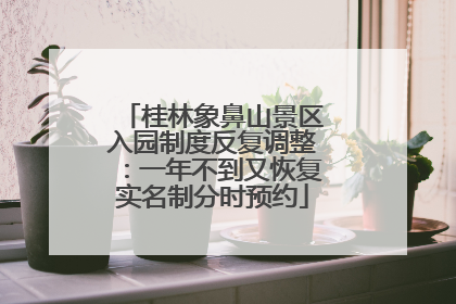桂林象鼻山景区入园制度反复调整：一年不到又恢复实名制分时预约