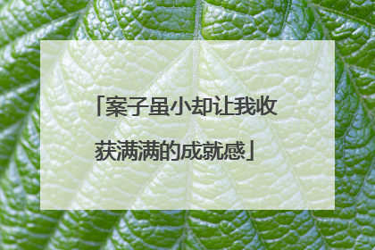 案子虽小却让我收获满满的成就感