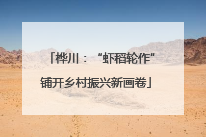 桦川：“虾稻轮作”铺开乡村振兴新画卷