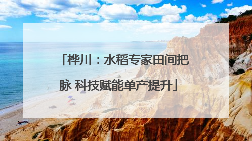 桦川：水稻专家田间把脉 科技赋能单产提升