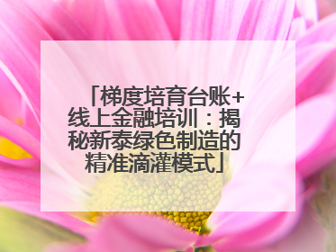 梯度培育台账+线上金融培训：揭秘新泰绿色制造的精准滴灌模式