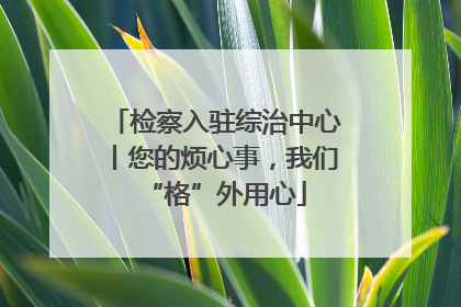 检察入驻综治中心丨您的烦心事，我们“格”外用心