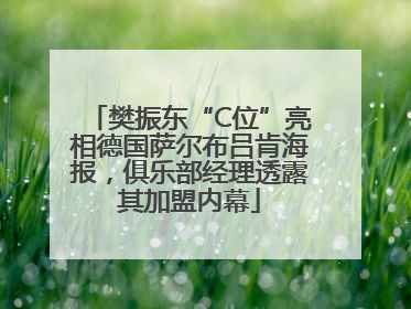 樊振东“C位”亮相德国萨尔布吕肯海报，俱乐部经理透露其加盟内幕