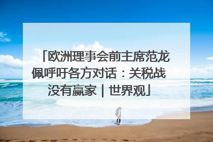 欧洲理事会前主席范龙佩呼吁各方对话：关税战没有赢家｜世界观